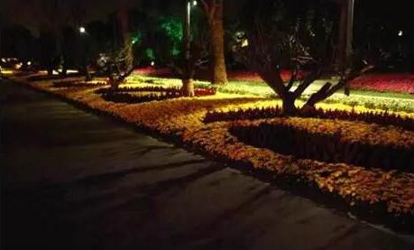 ��ľ����\ֲ������Ч��