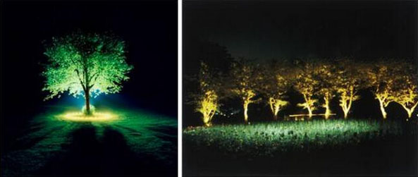 �иߘ�ľ������������Ч��