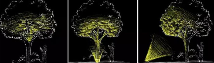 �ߴ��ľ��������ʾ��D