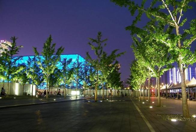 ��ľ��������LEDͶ������ʶ���ʱ��^���m?