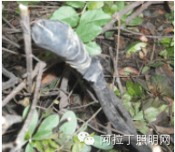 �Ӿ��^����