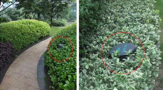 ��ƺ���e�`���bЧ��