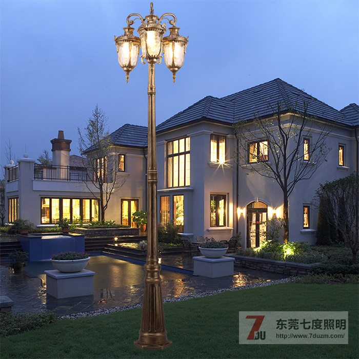 �ߙn�e��ͥԺ��DƬչʾ