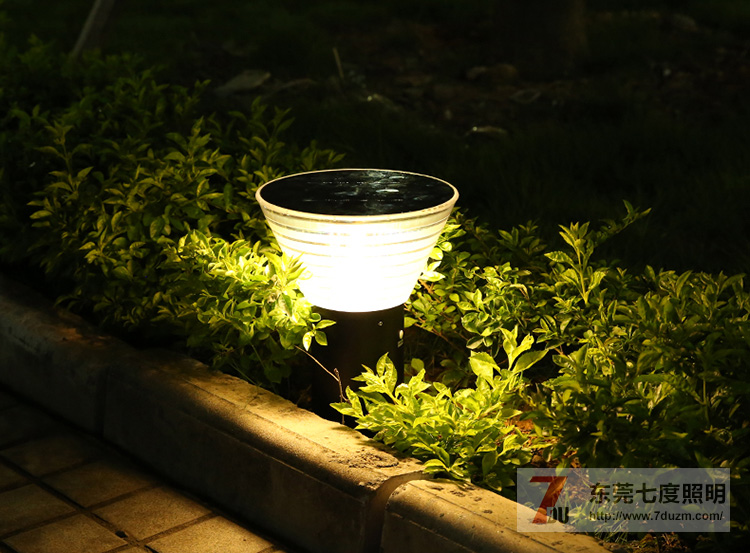 �|ݸ�߶�������(h��)�⻨�@̫�(y��ng)�ܲ�ƺ������ԭ��������