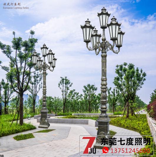 5���T�¹ŚWʽͥԺ��DƬչʾ